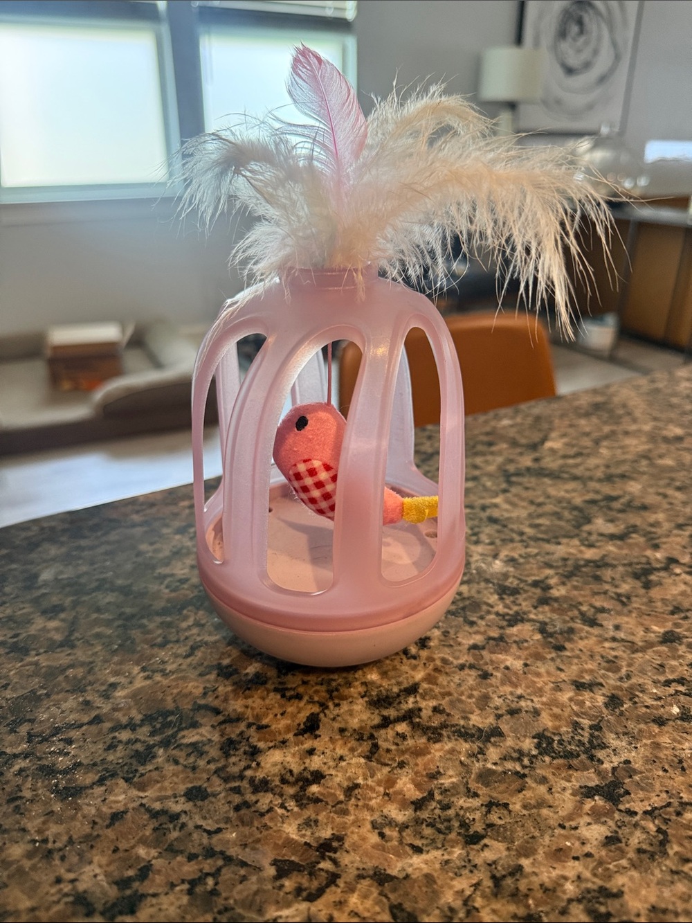 Cat Toy
